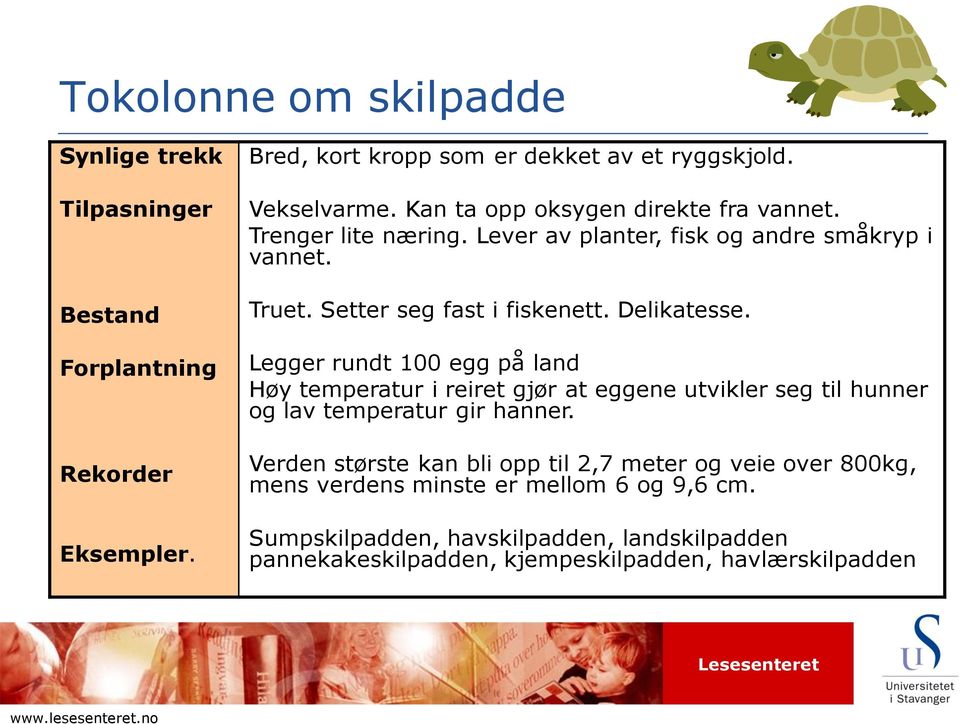 Legger rundt 100 egg på land Høy temperatur i reiret gjør at eggene utvikler seg til hunner og lav temperatur gir hanner.