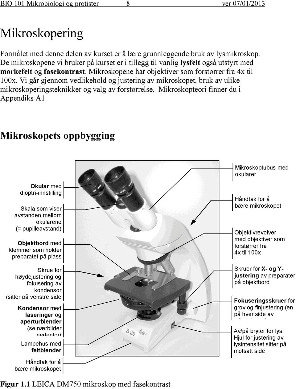 Vi går gjennom vedlikehold og justering av mikroskopet, bruk av ulike mikroskoperingsteknikker og valg av forstørrelse. Mikroskopteori finner du i Appendiks A1.