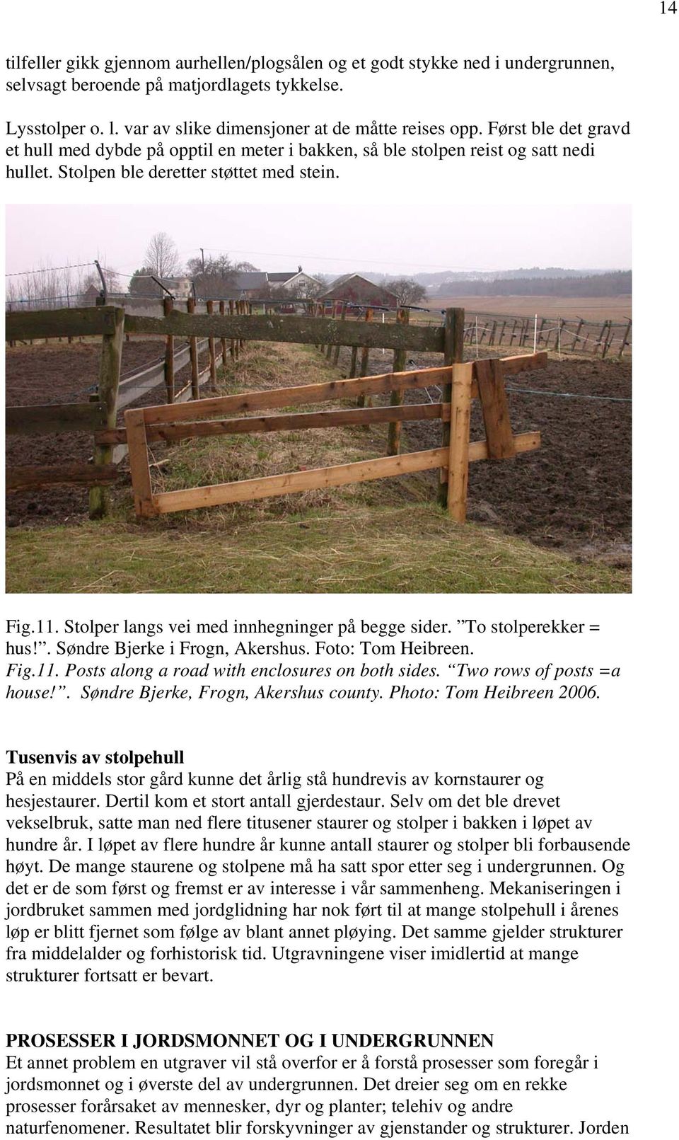 Stolper langs vei med innhegninger på begge sider. To stolperekker = hus!. Søndre Bjerke i Frogn, Akershus. Foto: Tom Heibreen. Fig.11. Posts along a road with enclosures on both sides.