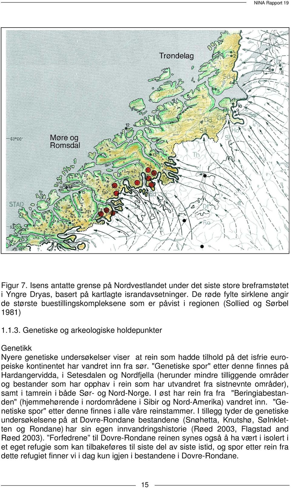 Genetiske og arkeologiske holdepunkter Genetikk Nyere genetiske undersøkelser viser at rein som hadde tilhold på det isfrie europeiske kontinentet har vandret inn fra sør.