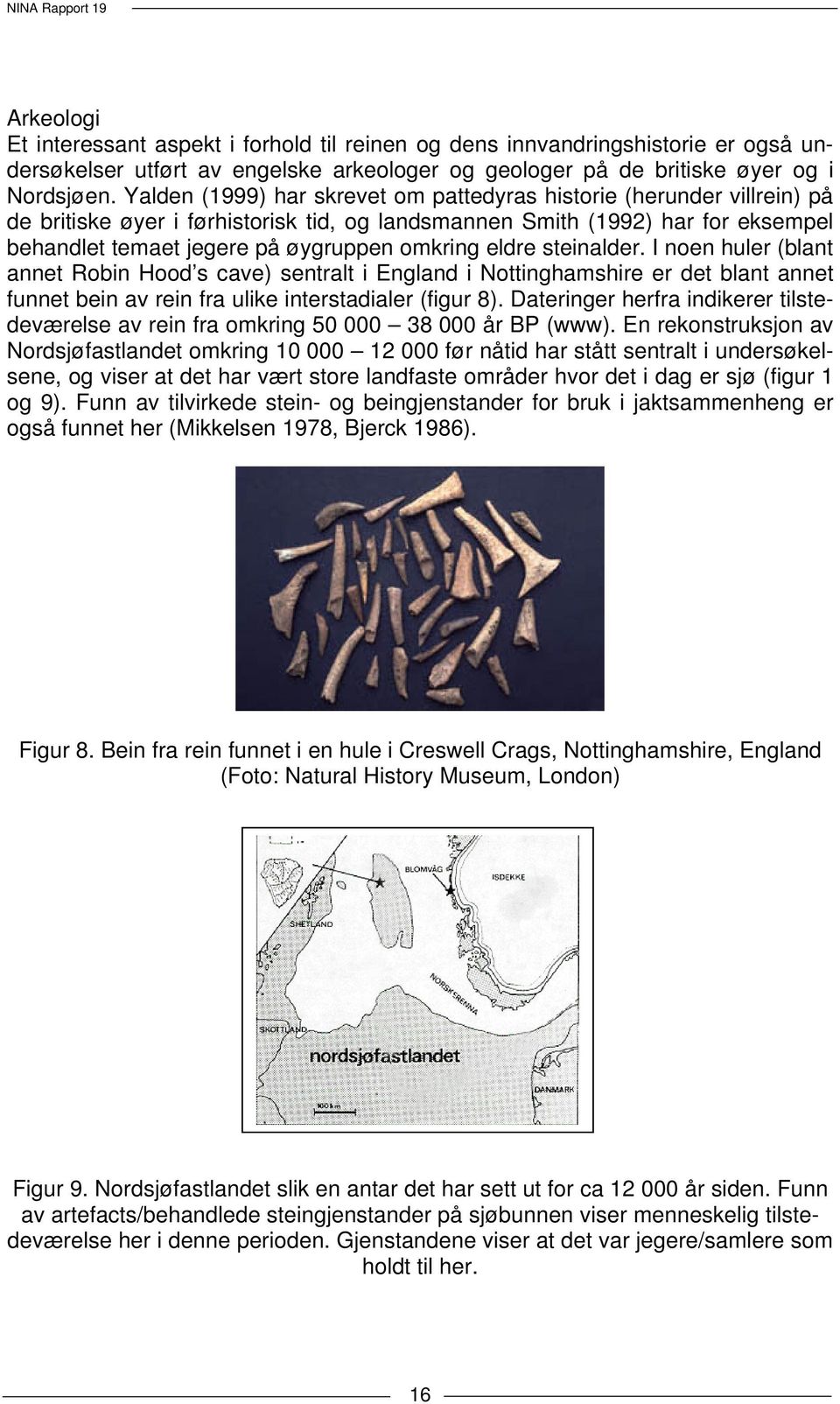 eldre steinalder. I noen huler (blant annet Robin Hood s cave) sentralt i England i Nottinghamshire er det blant annet funnet bein av rein fra ulike interstadialer (figur 8).