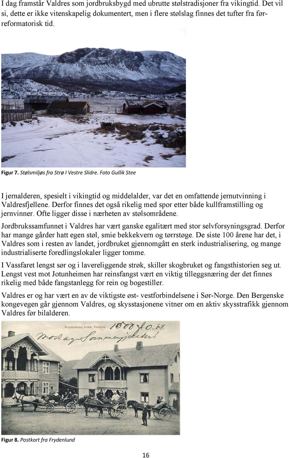 Foto Gullik Stee I jernalderen, spesielt i vikingtid og middelalder, var det en omfattende jernutvinning i Valdresfjellene.