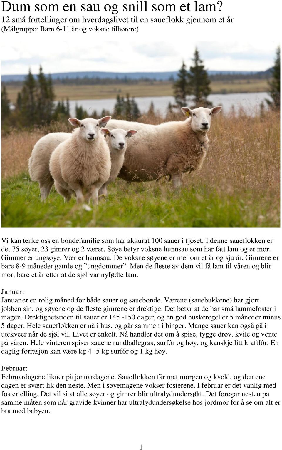 I denne saueflokken er det 75 søyer, 23 gimrer og 2 værer. Søye betyr voksne hunnsau som har fått lam og er mor. Gimmer er ungsøye. Vær er hannsau. De voksne søyene er mellom et år og sju år.