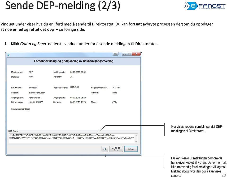 Klikk Godta og Send nederst i vinduet under for å sende meldingen til Direktoratet.