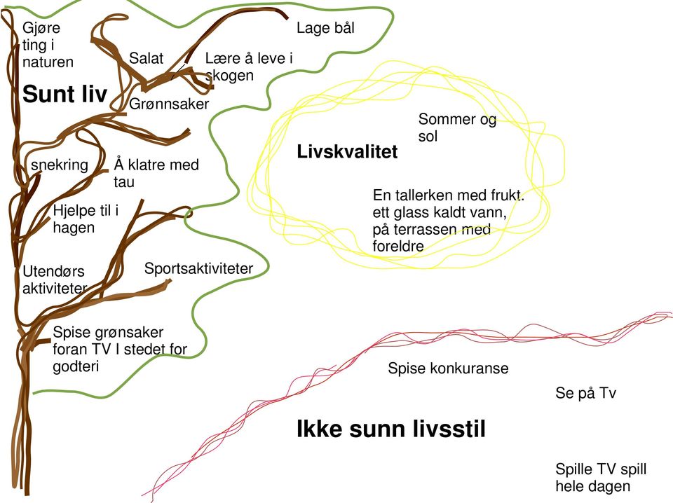 Sportsaktiviteter Lage bål Livskvalitet Sommer og sol En tallerken med frukt.