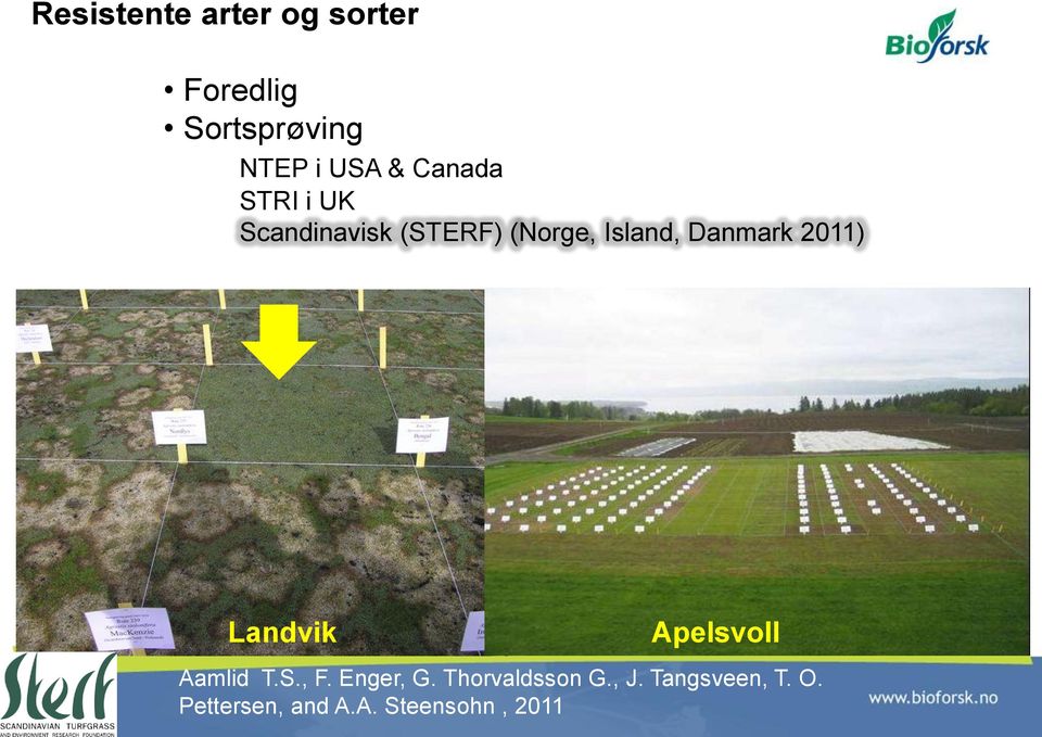 2011) Landvik Apelsvoll Aamlid T.S., F. Enger, G.