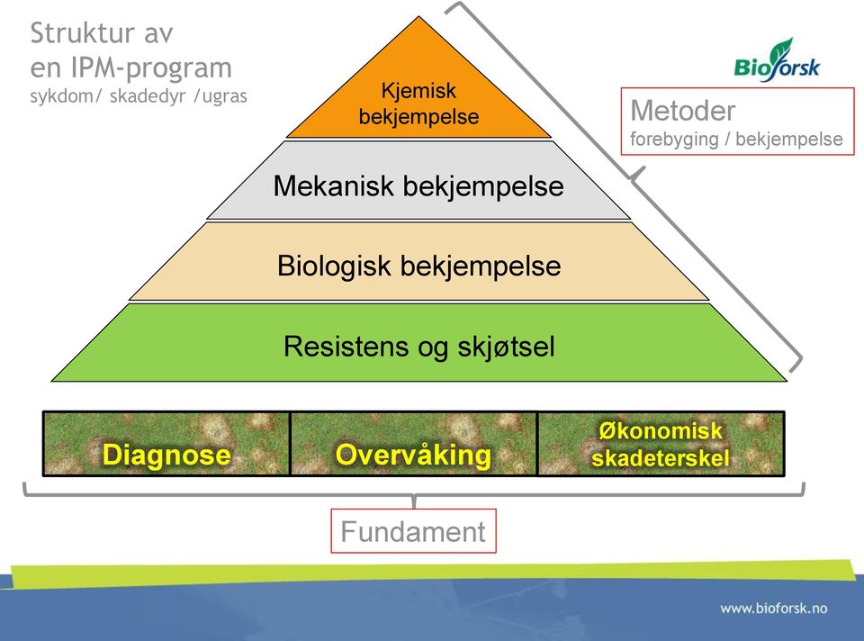 forebyging / bekjempelse Biologisk bekjempelse