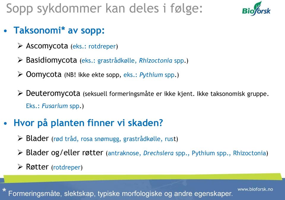 : Fusarium spp.) Hvor på planten finner vi skaden?