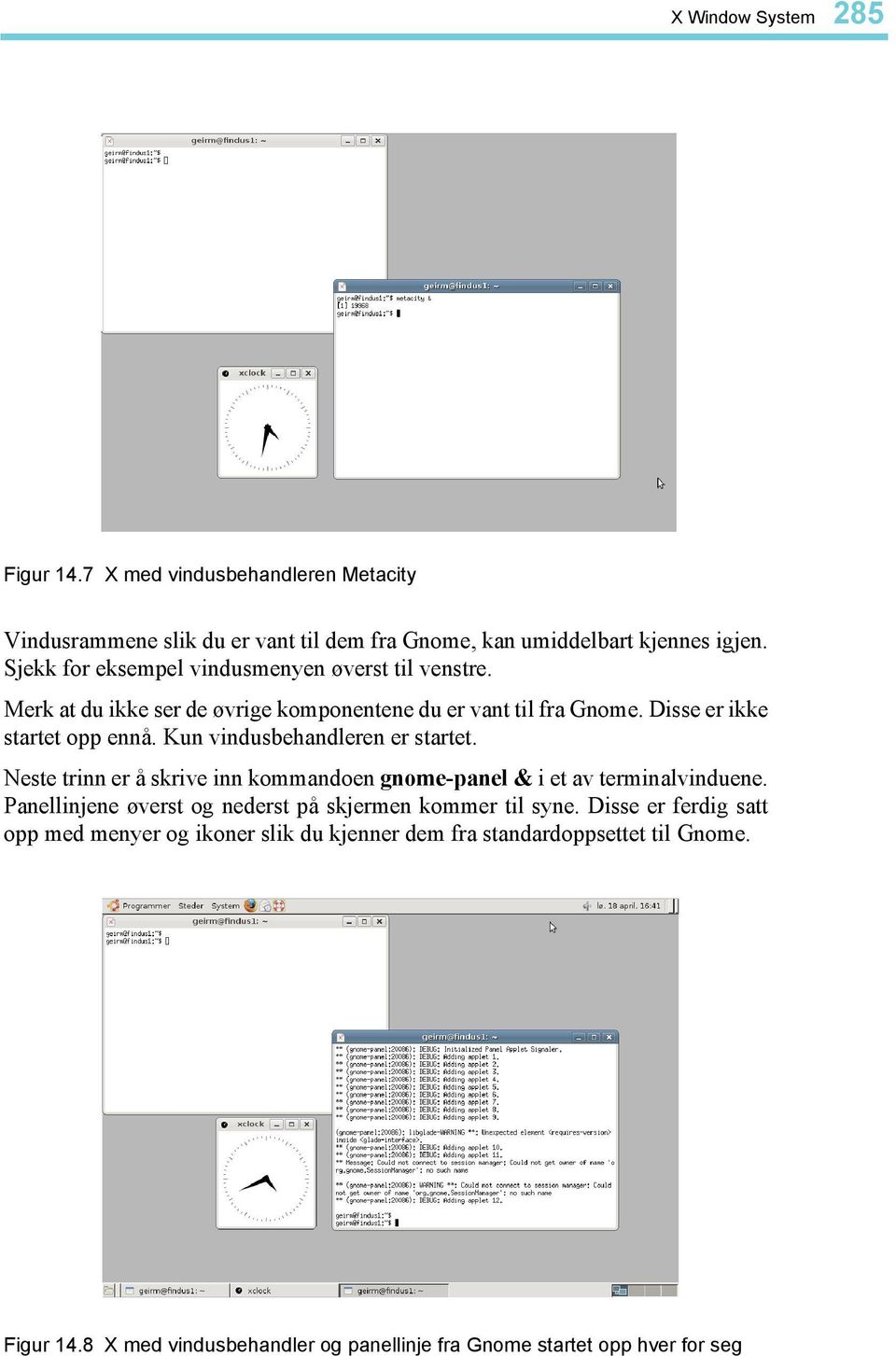 Kun vindusbehandleren er startet. Neste trinn er å skrive inn kommandoen gnome-panel & i et av terminalvinduene.