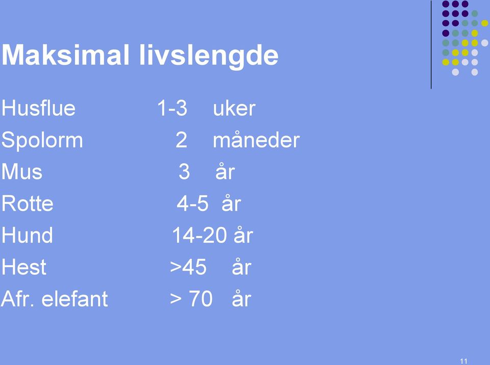 Rotte 4-5 år Hund 14-20 år Hest