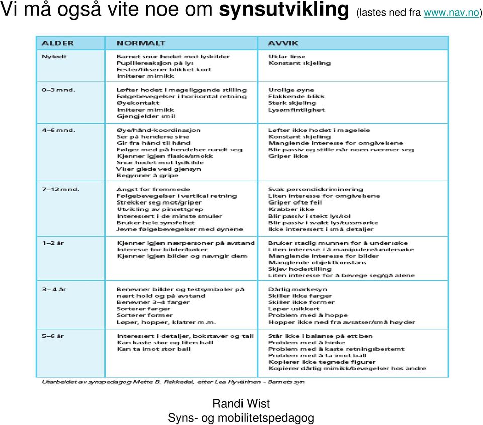 synsutvikling