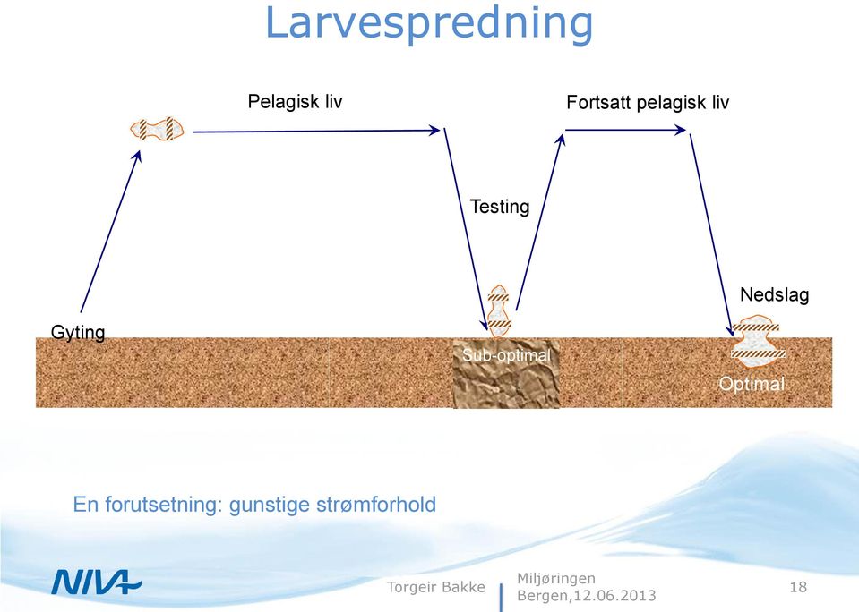 Sub-optimal Nedslag Optimal En