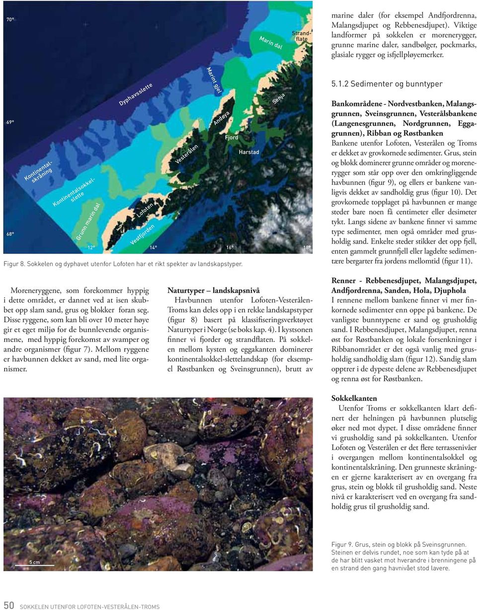 69 68 Kontinentalsokkelslette Kontinentalskråning Grunn marin dal 12 Dyphavsslette Lofoten Vestfjorden Figur 8. Sokkelen og dyphavet utenfor Lofoten har et rikt spekter av landskapstyper.