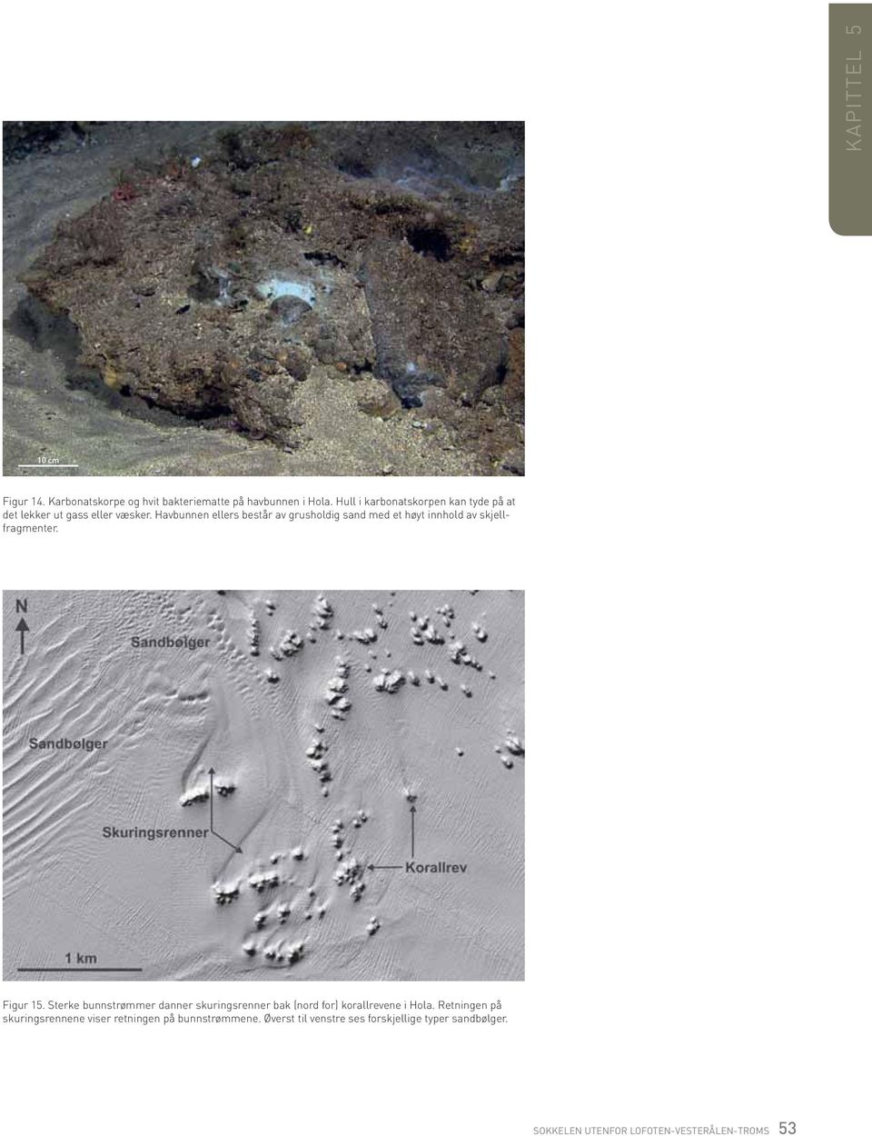 Havbunnen ellers består av grusholdig sand med et høyt innhold av skjellfragmenter. Figur 15.