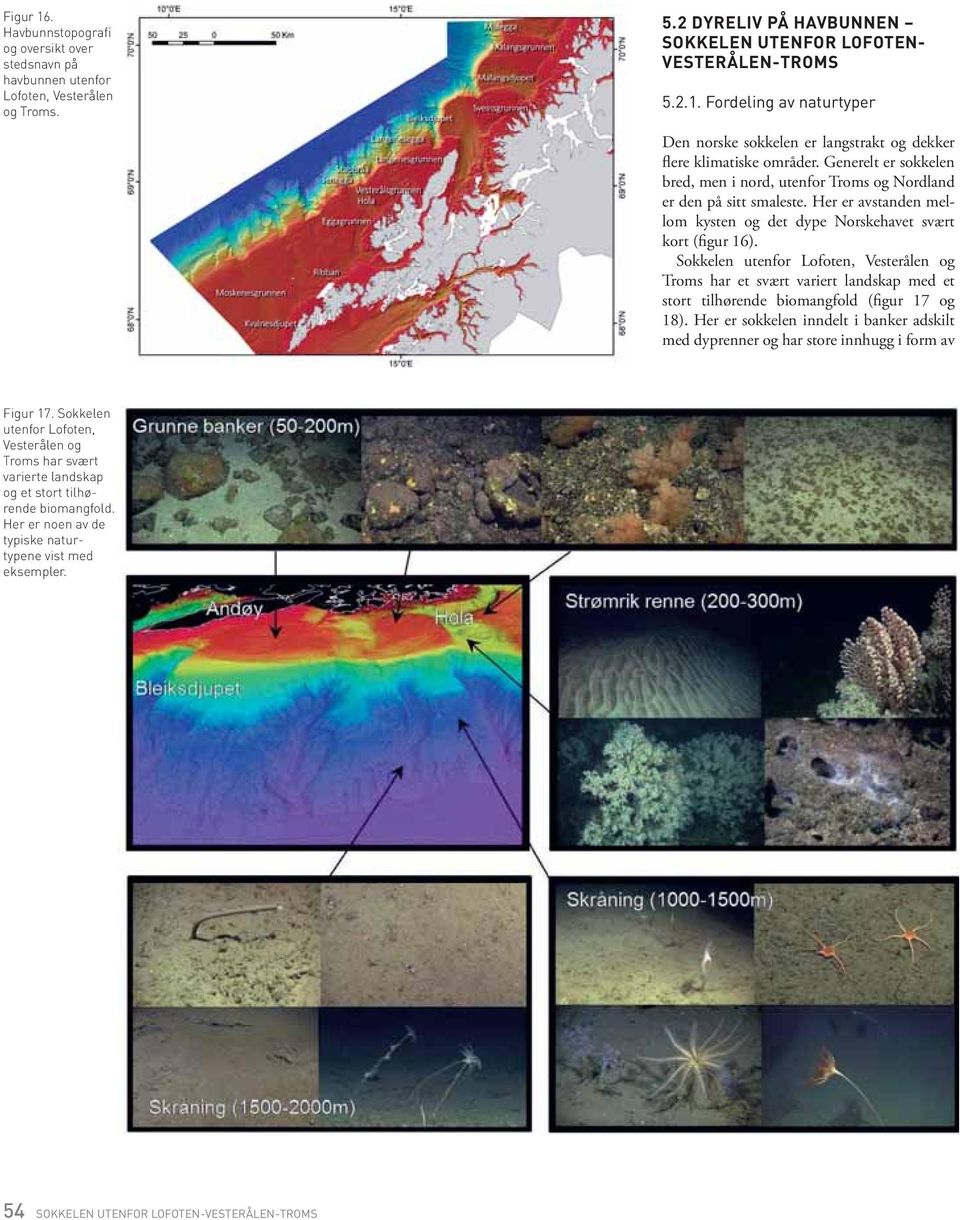 Sokkelen utenfor Lofoten, Vesterålen og Troms har et svært variert landskap med et stort tilhørende biomangfold (figur 17 og 18).