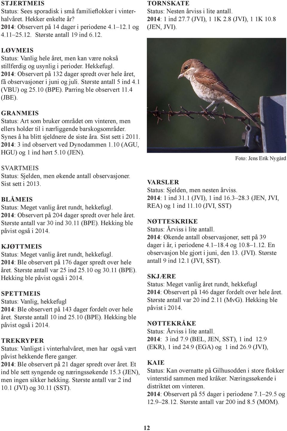 2014: Observert på 132 dager spredt over hele året, få observasjoner i juni og juli. Største antall 5 ind 4.1 (VBU) og 25.10 (BPE). Parring ble observert 11.4 (JBE).