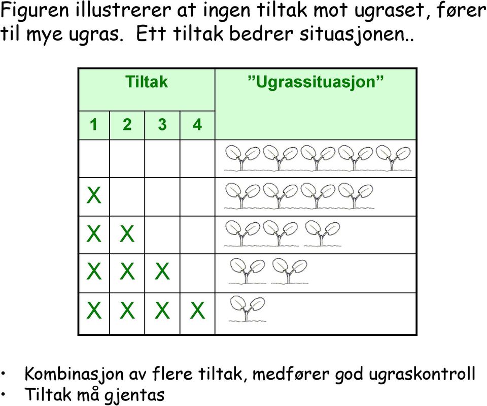 . Tiltak Ugrassituasjon 1 2 3 4 X X X X X X X X X X