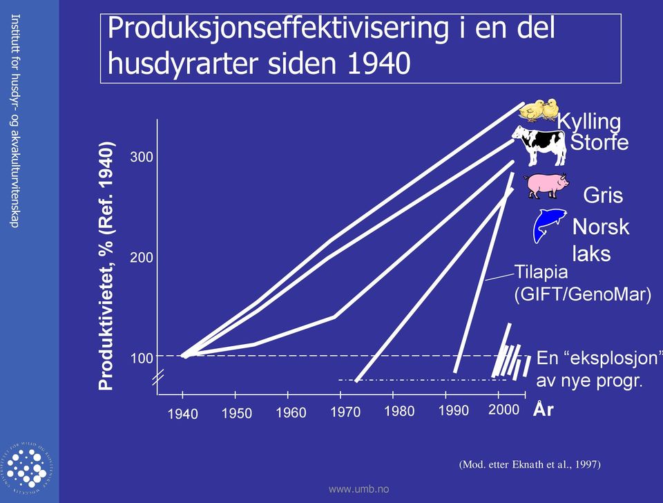 Produksjonseffektivisering i en del husdyrarter siden 1940 300 200 Kylling