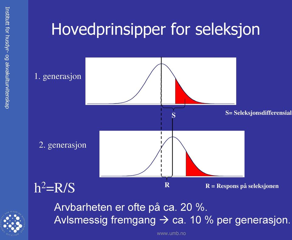 generasjon h 2 =R/S R R = Respons på seleksjonen