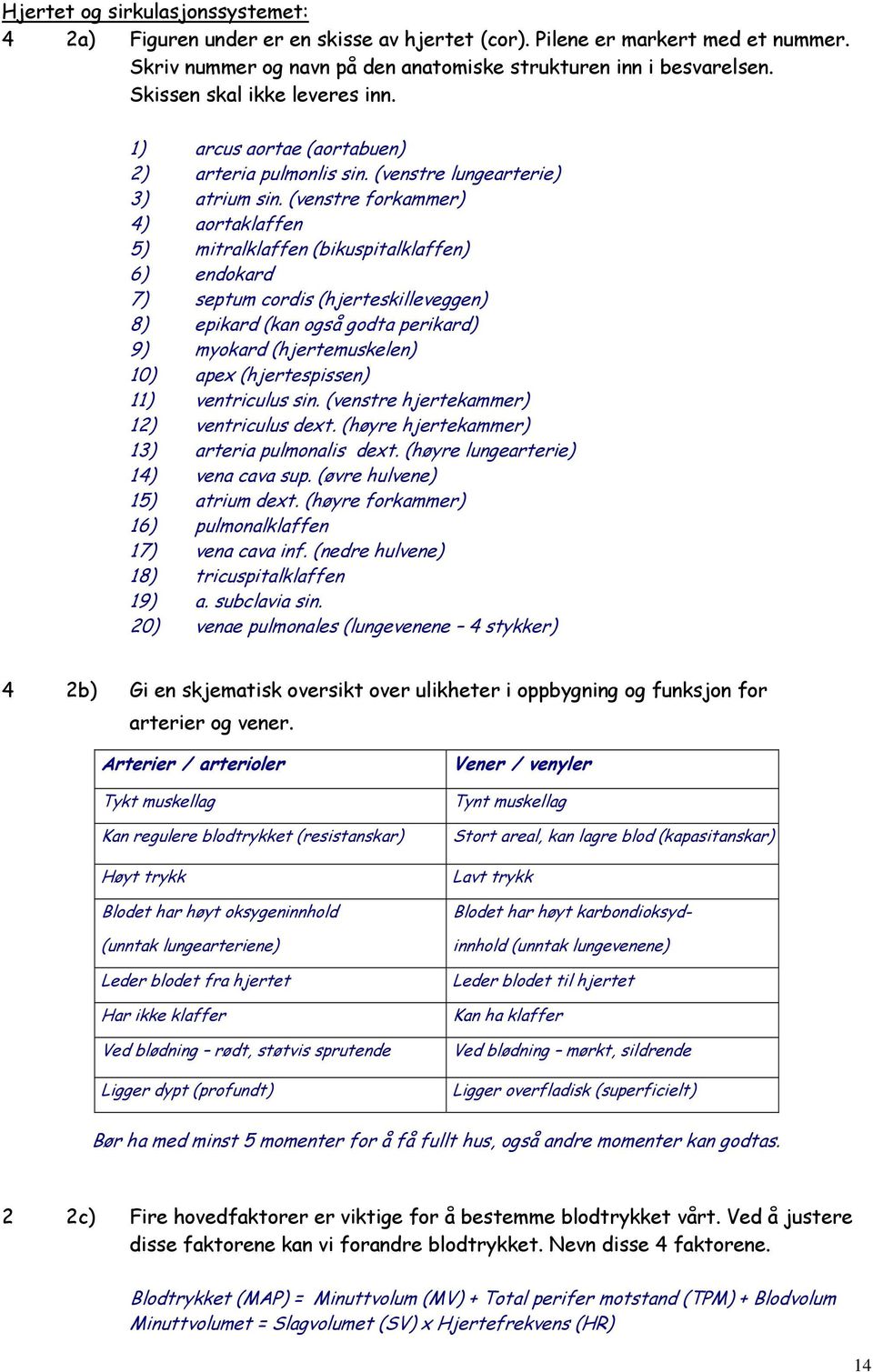 (venstre forkammer) 4) aortaklaffen 5) mitralklaffen (bikuspitalklaffen) 6) endokard 7) septum cordis (hjerteskilleveggen) 8) epikard (kan også godta perikard) 9) myokard (hjertemuskelen) 10) apex