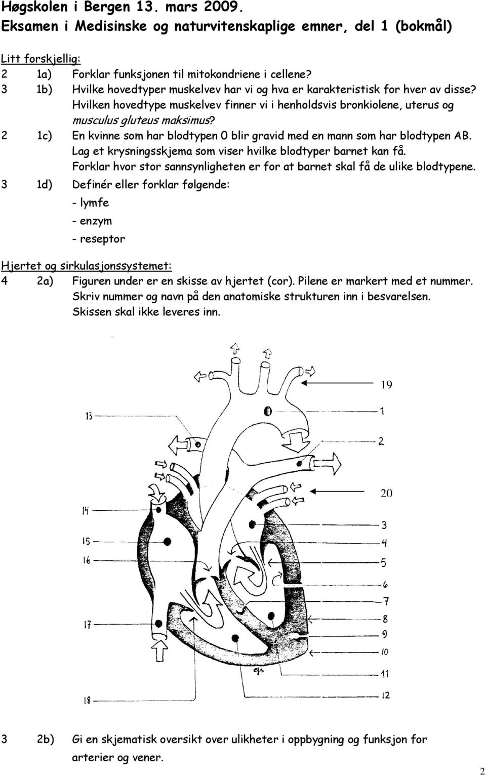 2 1c) En kvinne som har blodtypen 0 blir gravid med en mann som har blodtypen AB. Lag et krysningsskjema som viser hvilke blodtyper barnet kan få.