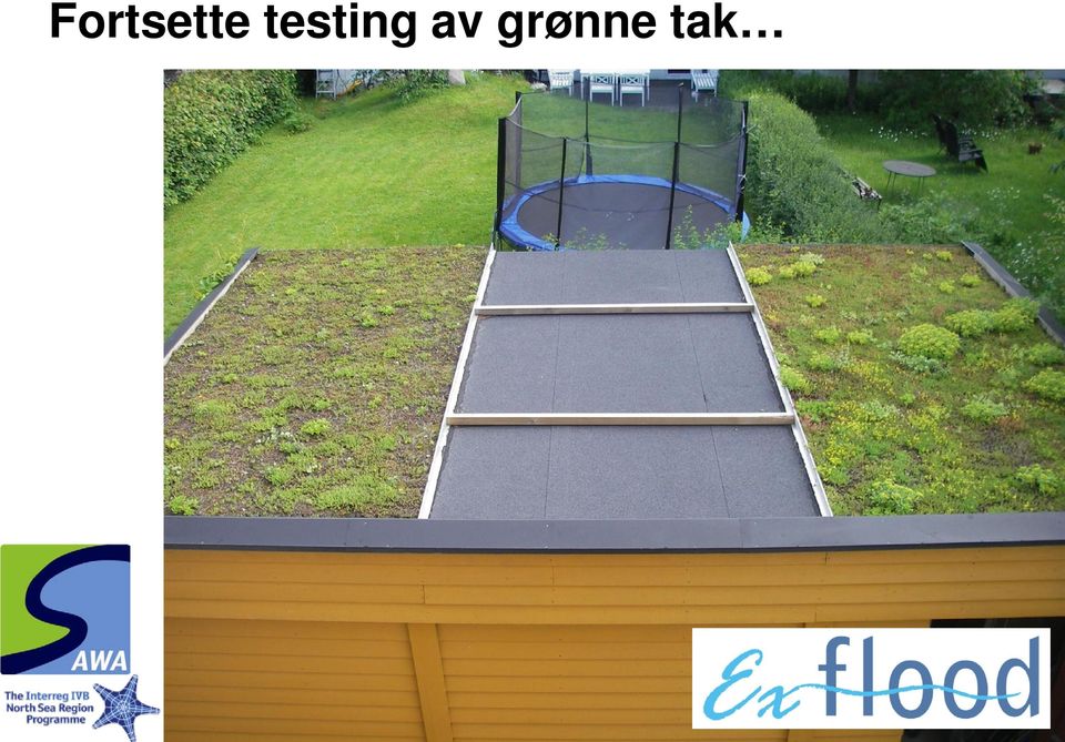 grønne tak