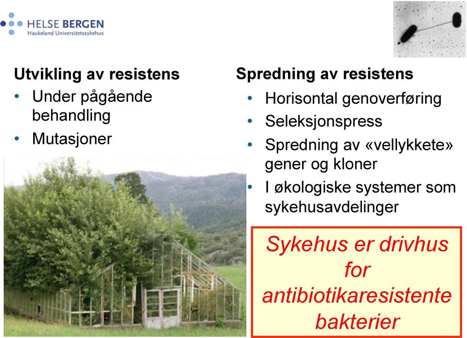 Spredning av «vellykkete» gener og kloner I økologiske systemer