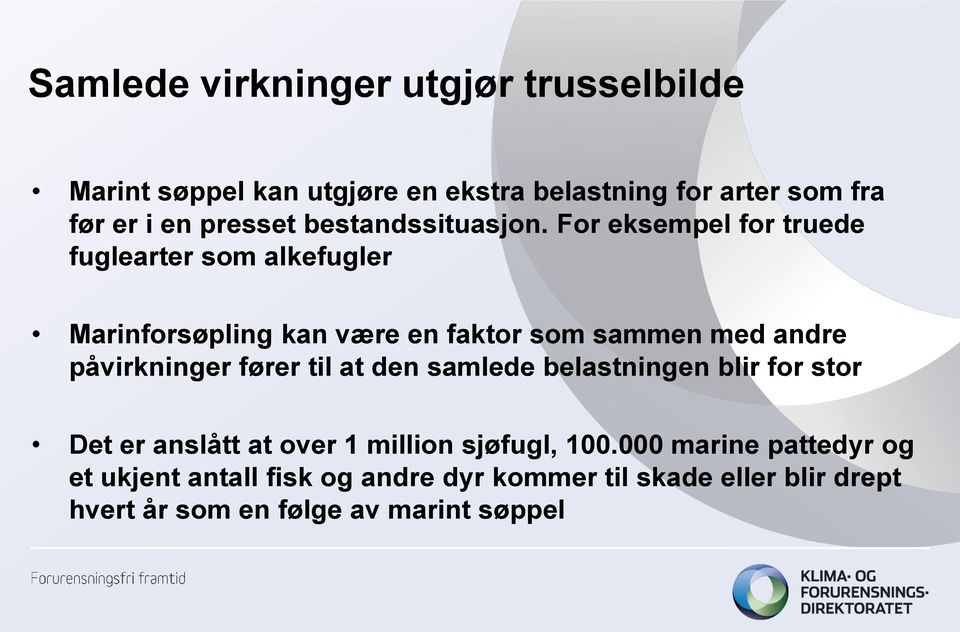 For eksempel for truede fuglearter som alkefugler Marinforsøpling kan være en faktor som sammen med andre påvirkninger