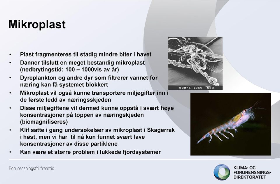 næringsskjeden Disse miljøgiftene vil dermed kunne oppstå i svært høye konsentrasjoner på toppen av næringskjeden (biomagnifiseres) Klif satte i gang