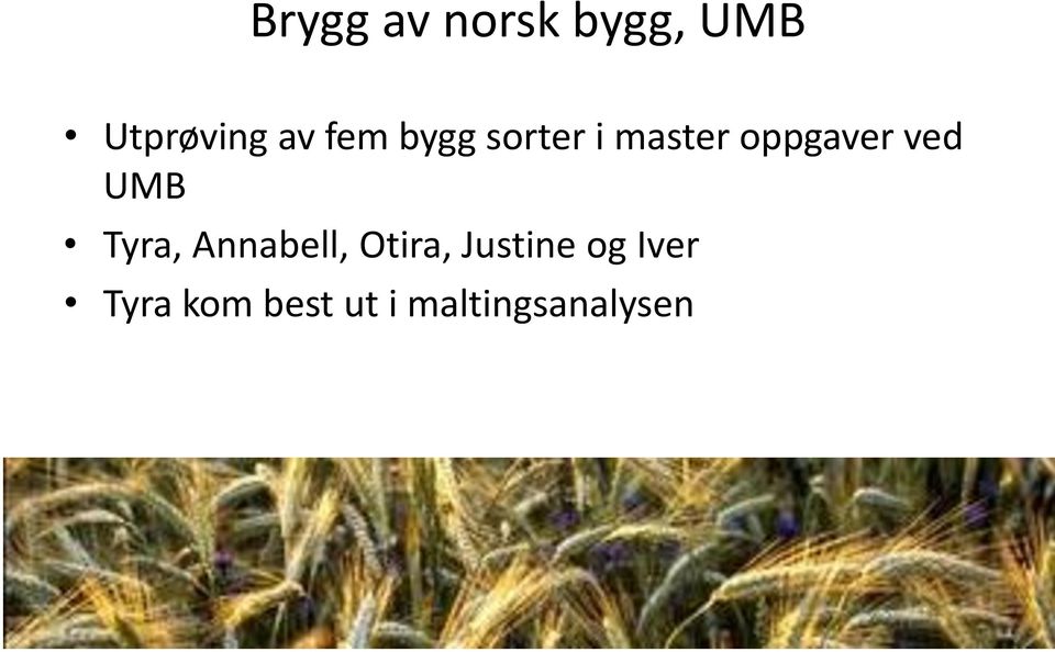 UMB Tyra, Annabell, Otira, Justine og