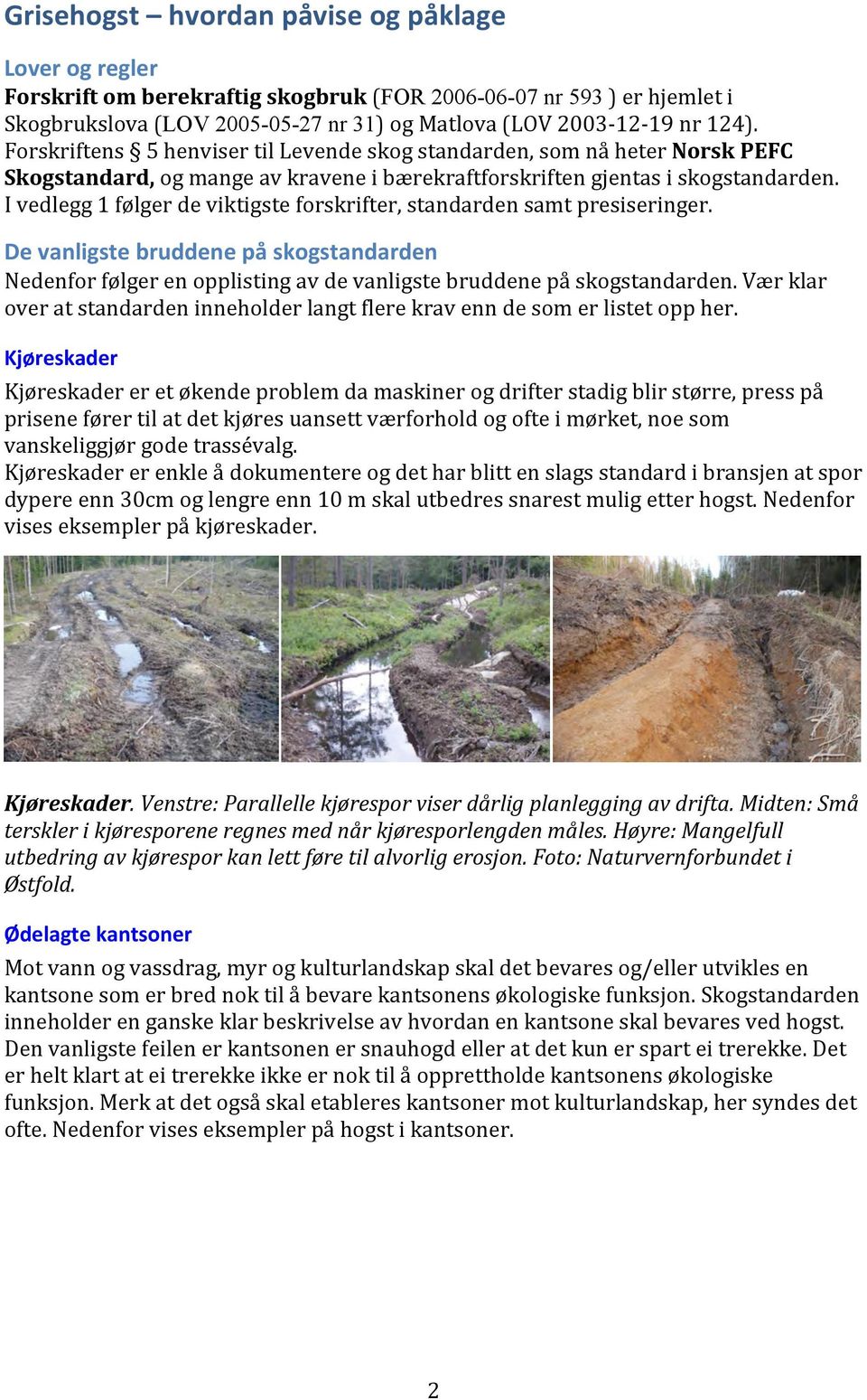 I vedlegg 1 følger de viktigste forskrifter, standarden samt presiseringer. De vanligste bruddene på skogstandarden Nedenfor følger en opplisting av de vanligste bruddene på skogstandarden.