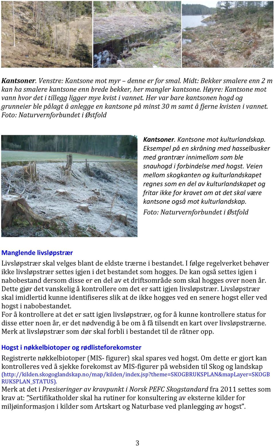 Foto: Naturvernforbundet i Østfold Kantsoner. Kantsone mot kulturlandskap. Eksempel på en skråning med hasselbusker med grantrær innimellom som ble snauhogd i forbindelse med hogst.