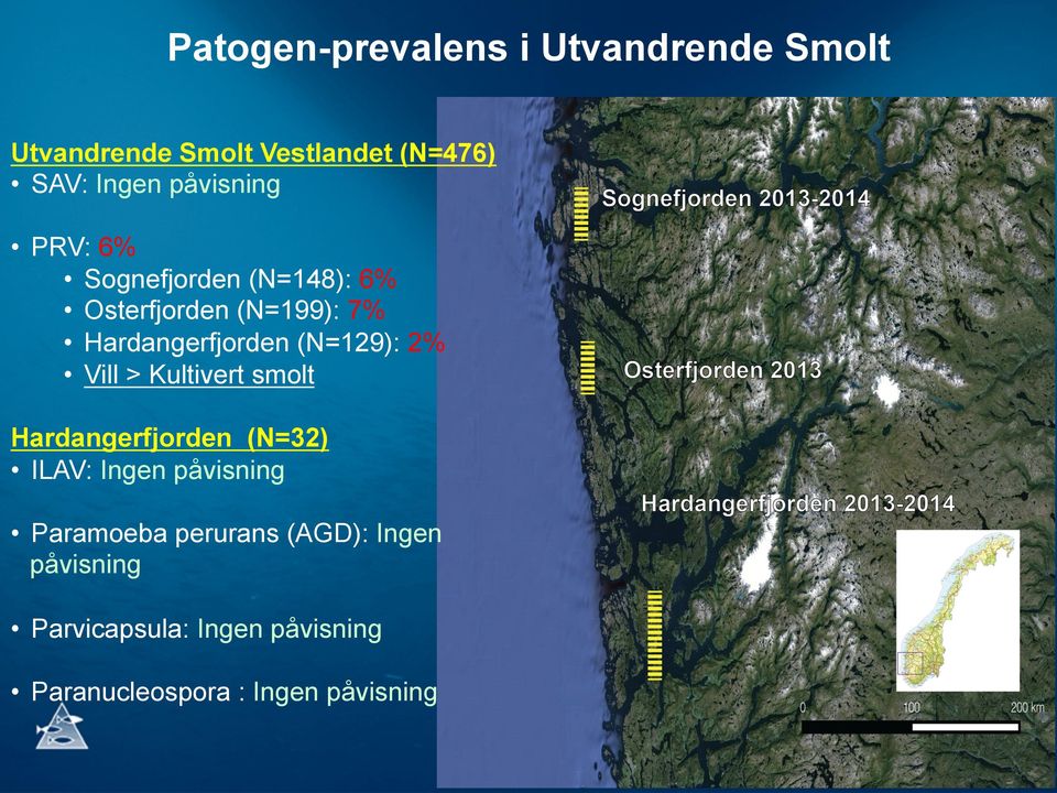 (N=129): 2% Vill > Kultivert smolt Hardangerfjorden (N=32) ILAV: Ingen påvisning