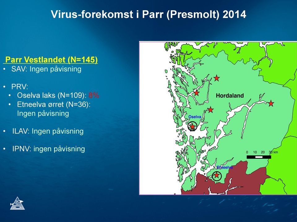 Oselva laks (N=109): 8% Etneelva ørret (N=36):