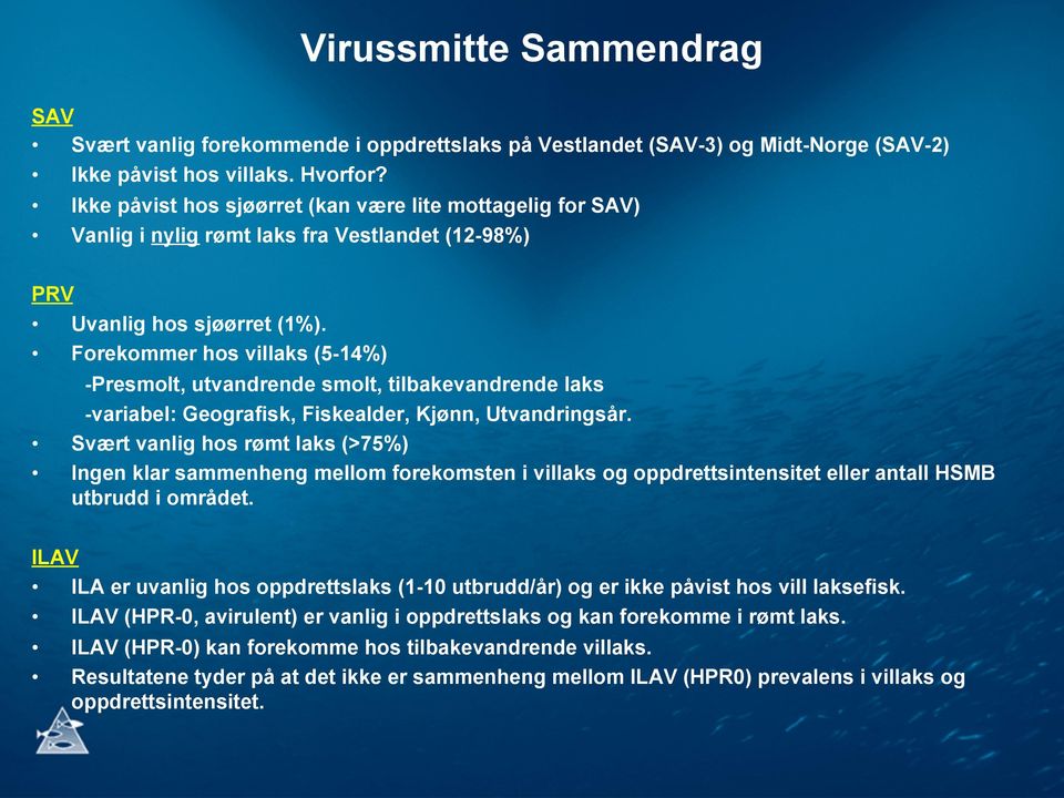 Forekommer hos villaks (5-14%) -Presmolt, utvandrende smolt, tilbakevandrende laks -variabel: Geografisk, Fiskealder, Kjønn, Utvandringsår.