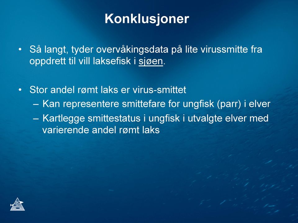 Stor andel rømt laks er virus-smittet Kan representere smittefare for