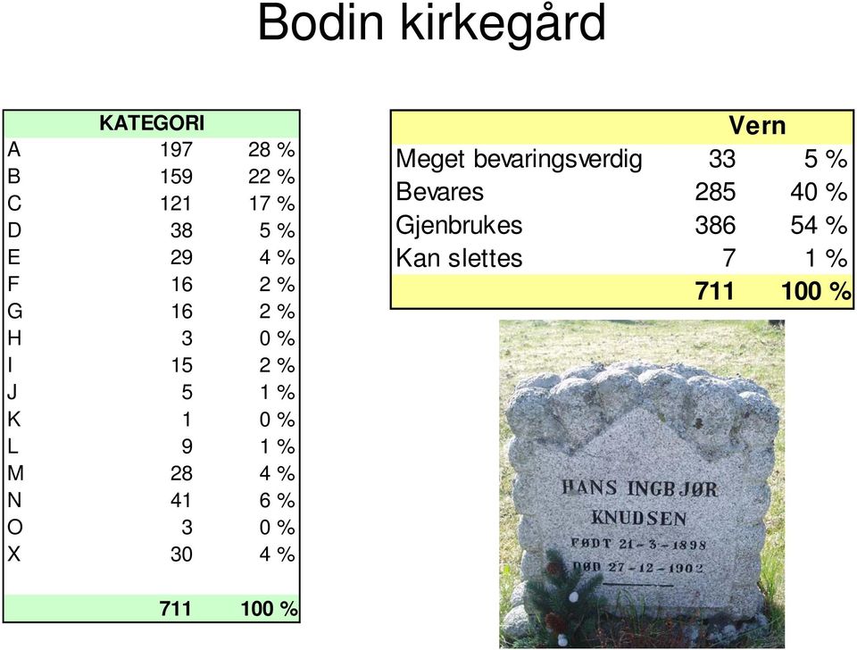 28 4 % N 41 6 % O 3 0 % X 30 4 % Vern Meget bevaringsverdig 33 5 %