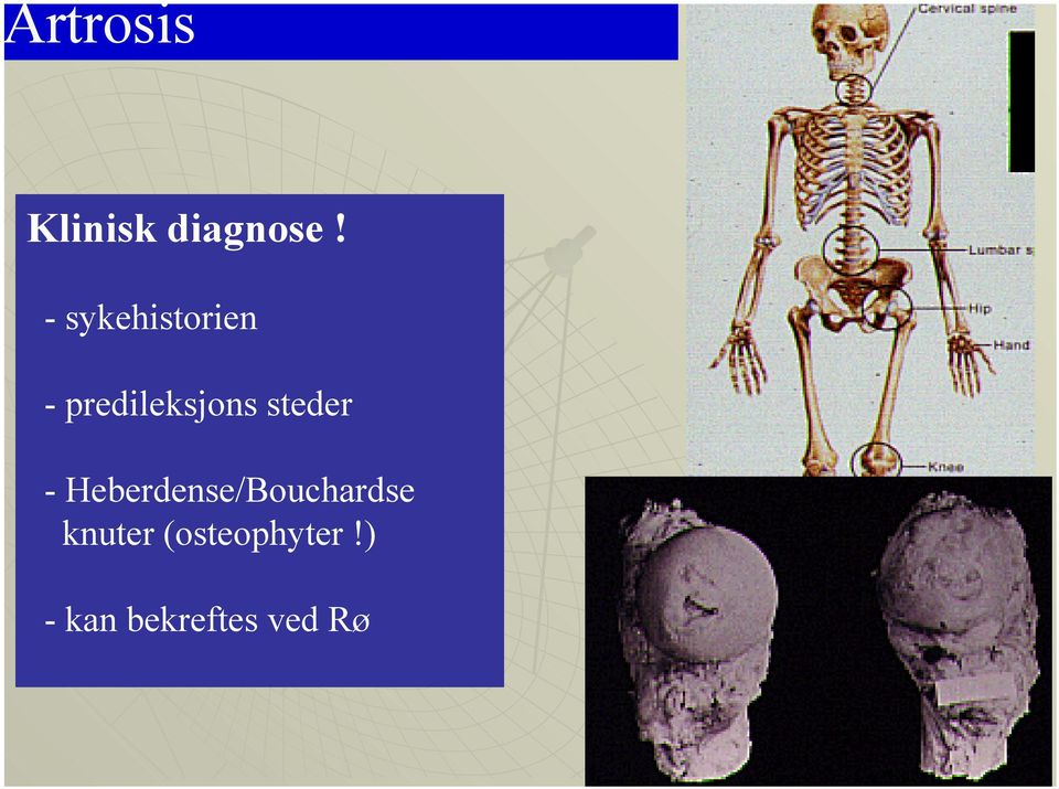 steder - Heberdense/Bouchardse