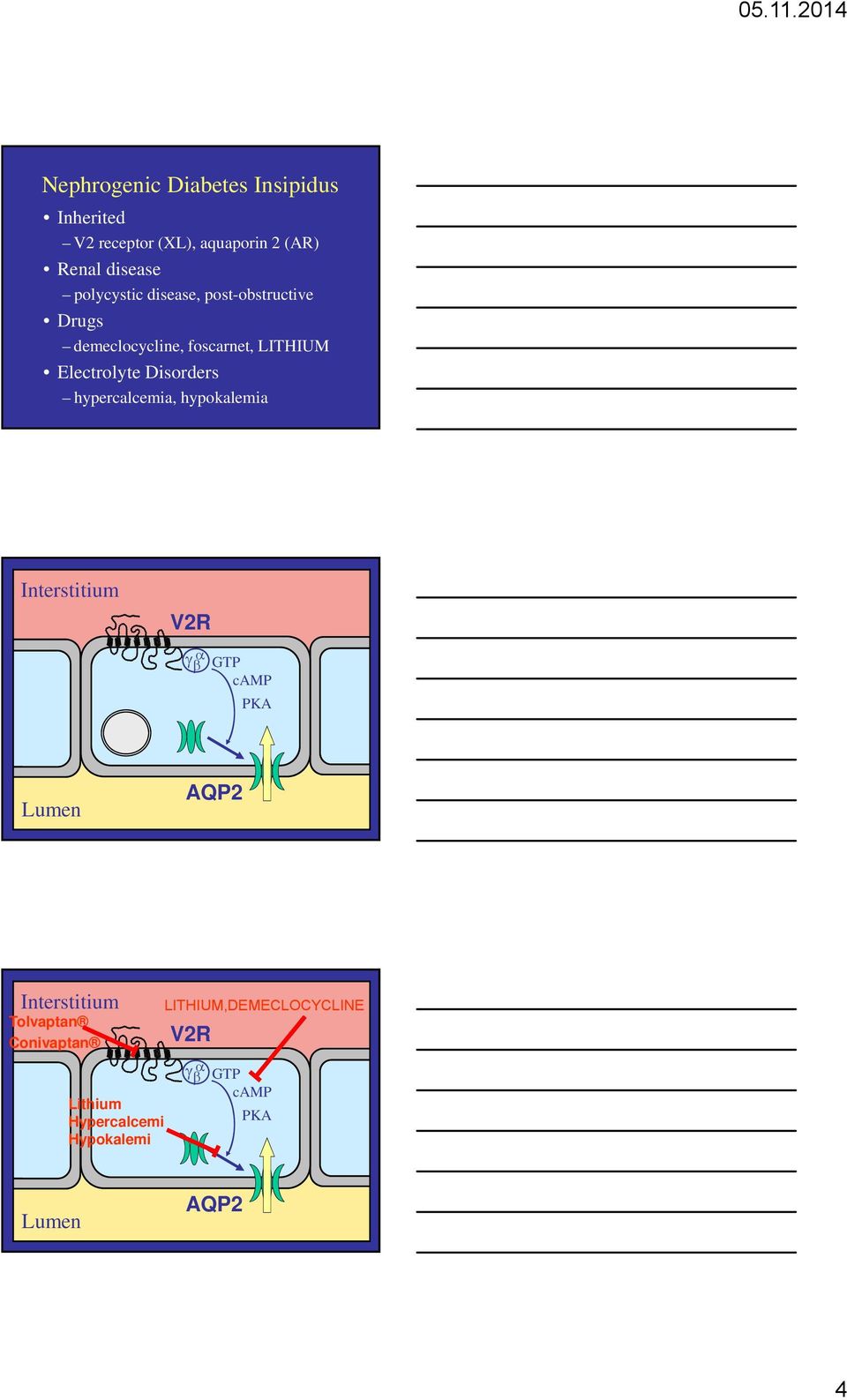 Disorders hypercalcemia, hypokalemia Interstitium V2R GTP camp PKA Lumen AQP2 Interstitium