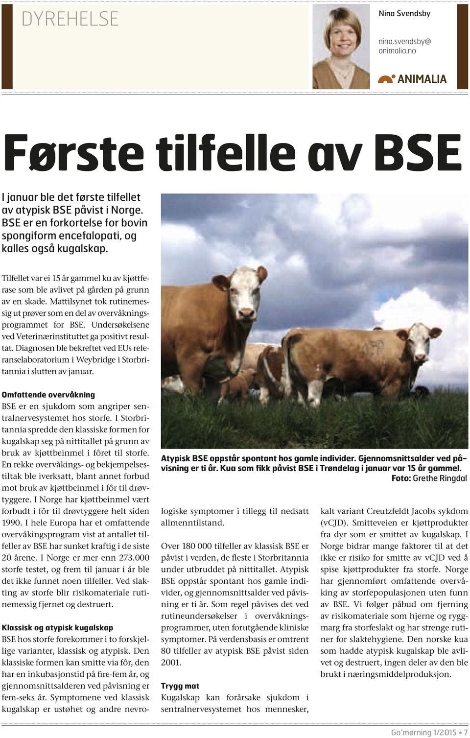 Mattilsynet tok rutinemessig ut prøver som en del av overvåkningsprogrammet for BSE. Undersøkelsene ved Veterinærinstituttet ga positivt resultat.