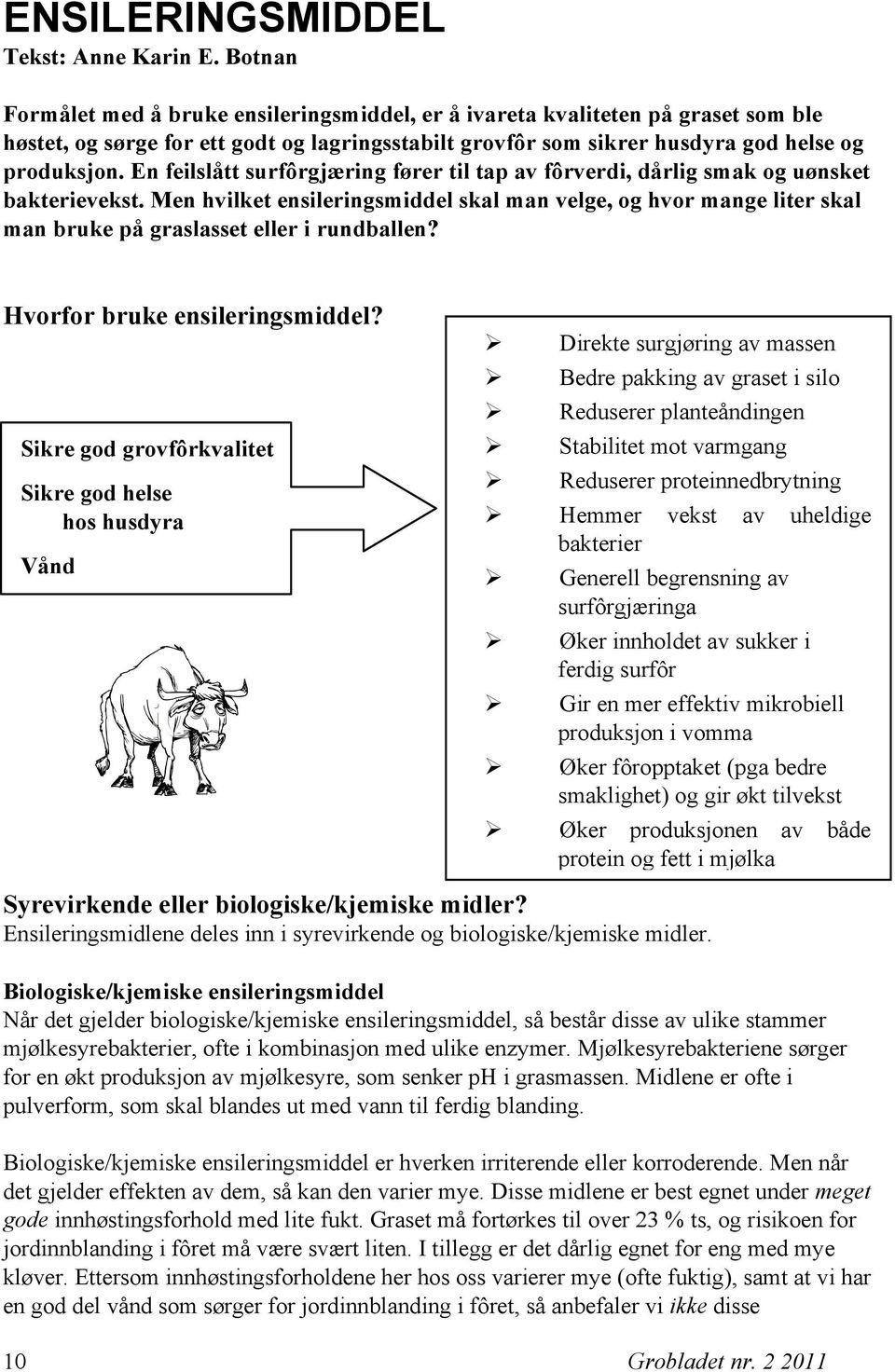 En feilslått surfôrgjæring fører til tap av fôrverdi, dårlig smak og uønsket bakterievekst.