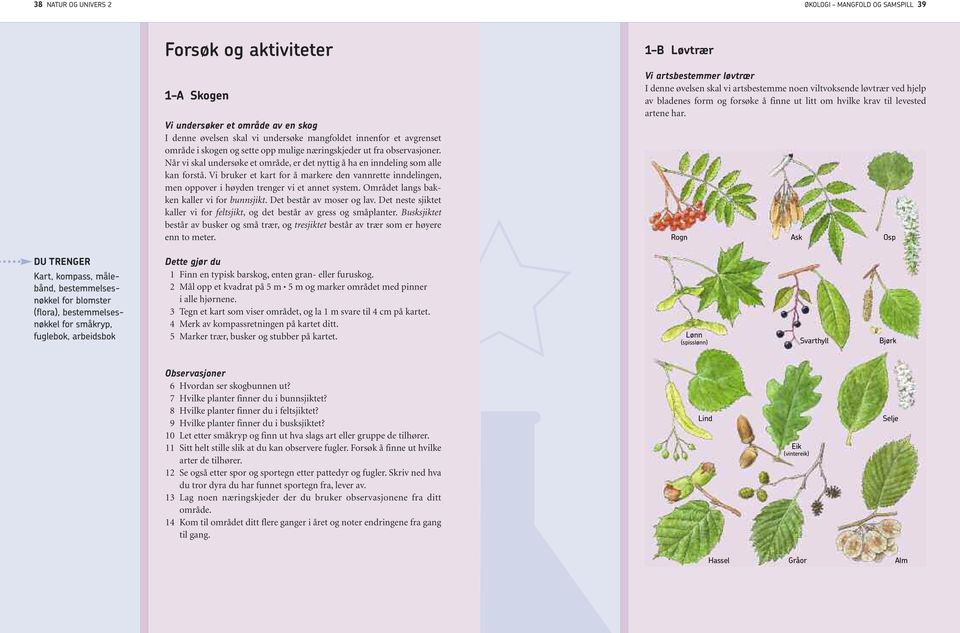 Vi bruker et kart for å markere den vannrette inndelingen, men oppover i høyden trenger vi et annet system. Området langs bakken kaller vi for bunnsjikt. Det består av moser og lav.