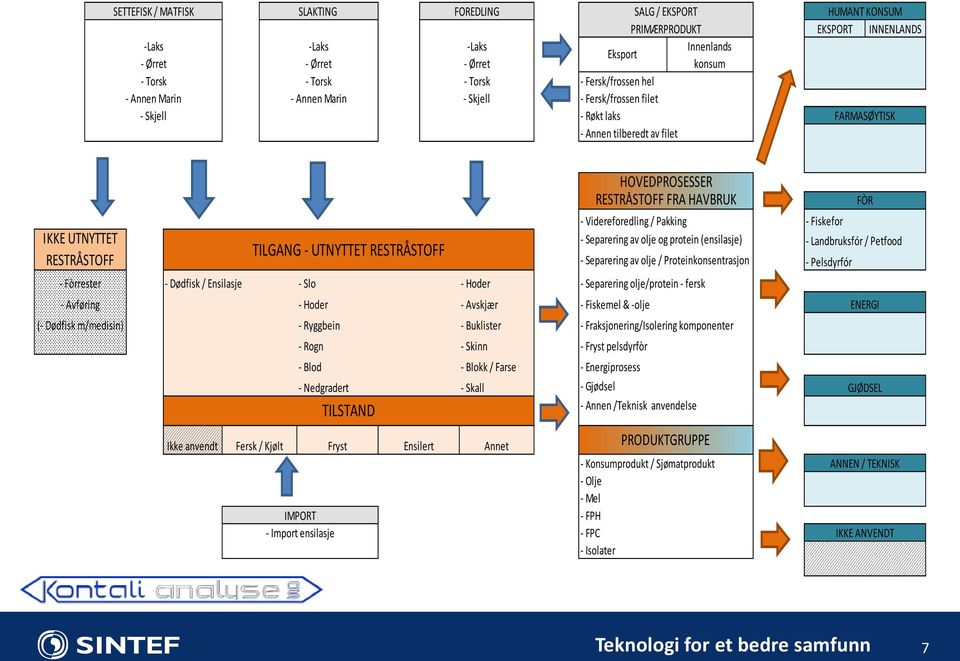 m/medisin) TILGANG - UTNYTTET RESTRÅSTOFF - Dødfisk / Ensilasje - Slo - Hoder - Separering olje/protein - fersk - Hoder - Avskjær - Fiskemel & -olje - Videreforedling / Pakking - Fiskefor -