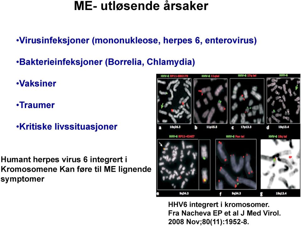 livssituasjoner Humant herpes virus 6 integrert i Kromosomene Kan føre til ME