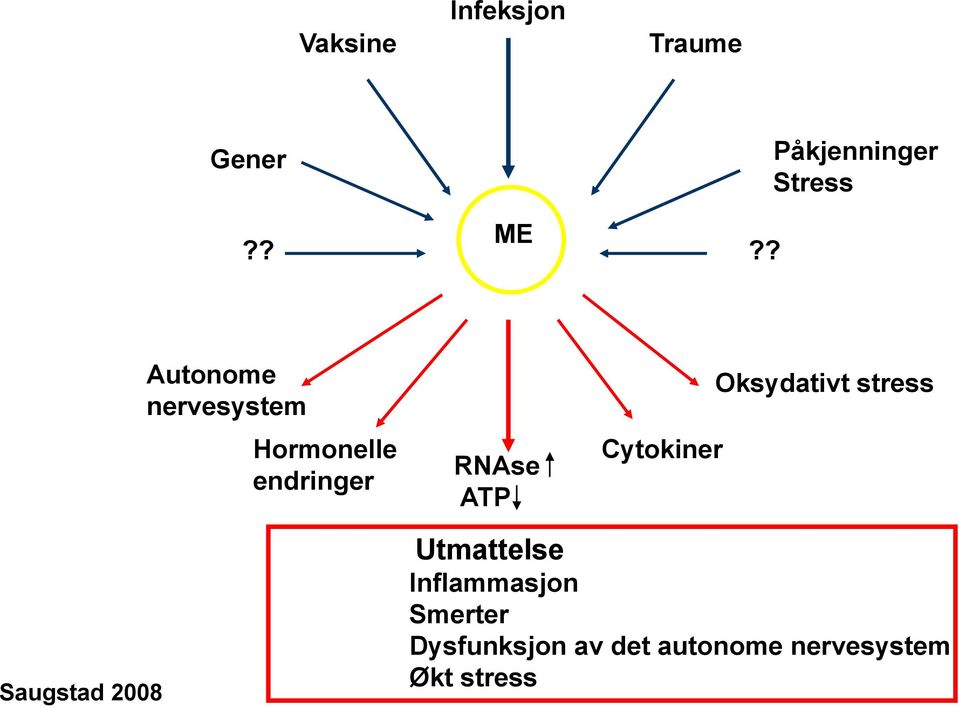 Cytokiner Oksydativt stress augstad 2008 Utmattelse