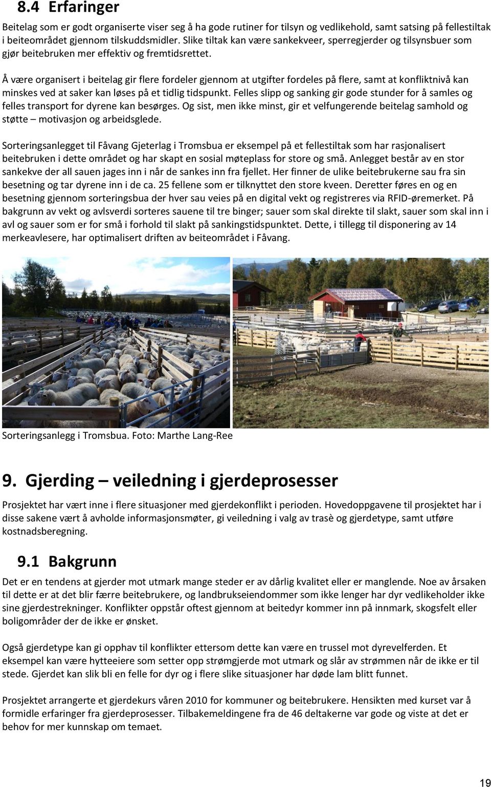 Å være organisert i beitelag gir flere fordeler gjennom at utgifter fordeles på flere, samt at konfliktnivå kan minskes ved at saker kan løses på et tidlig tidspunkt.