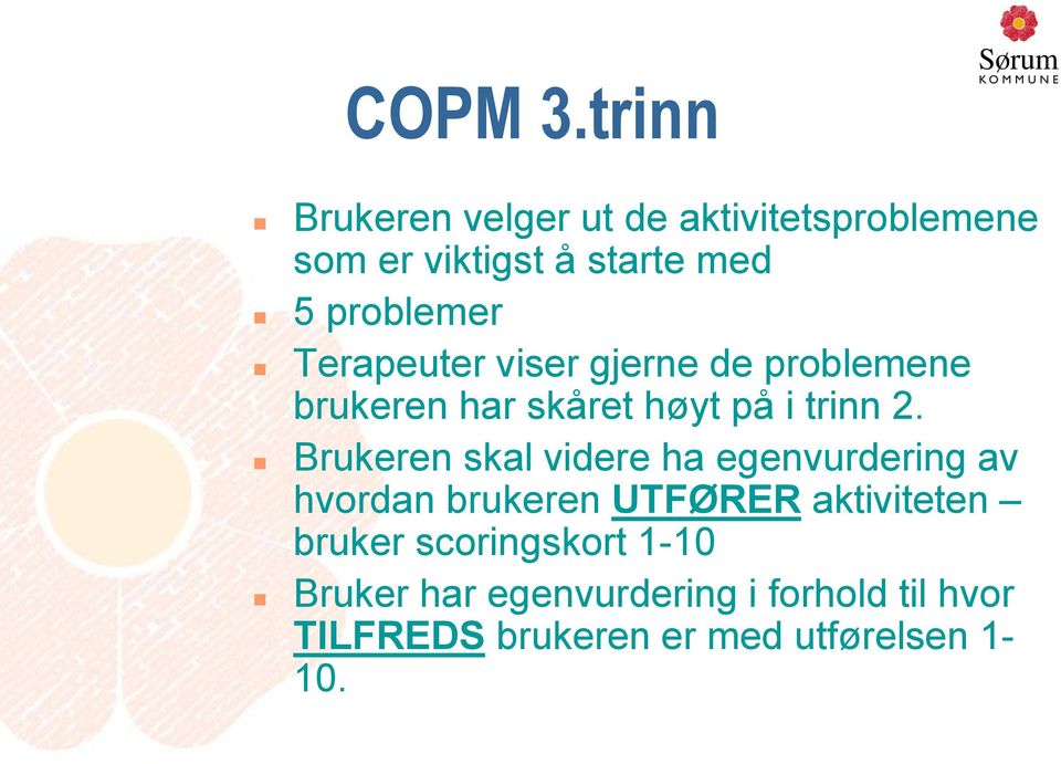 Terapeuter viser gjerne de problemene brukeren har skåret høyt på i trinn 2.