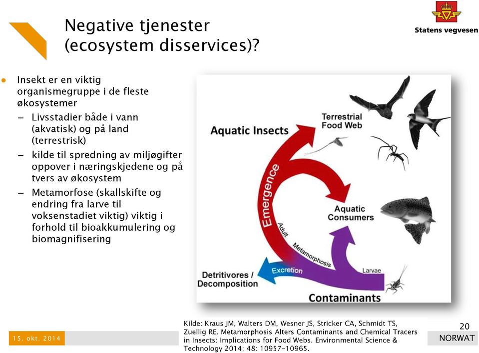 oppover i næringskjedene og på tvers av økosystem Metamorfose (skallskifte og endring fra larve til voksenstadiet viktig) viktig i forhold til