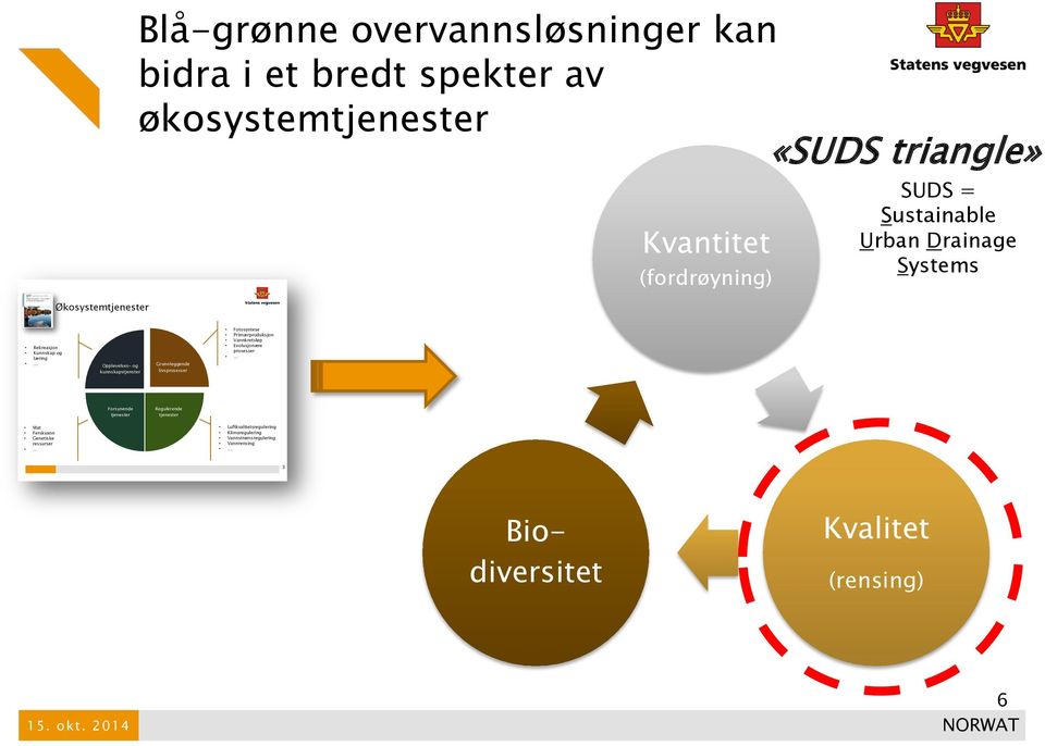 livsprosesser Fotosyntese Primærproduksjon Vannkretsløp Evolusjonære prosesser Forsynende tjenester Regulerende tjenester Mat Ferskvann