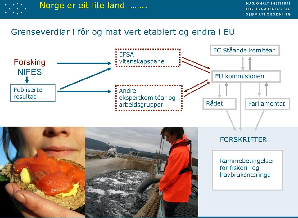 EFSA vitenskapspanel EC Ståande komitéar EU kommisjonen Publiserte